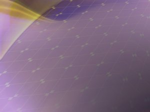 用户反馈